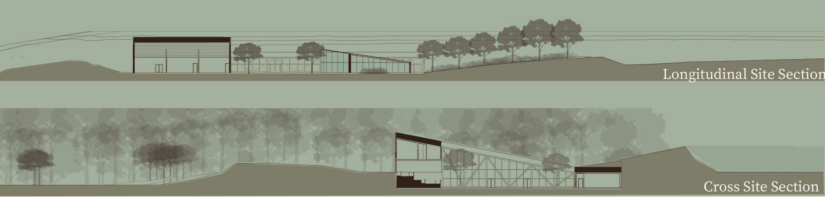 Hidden Gem - Site Section